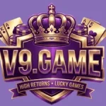 V9 Game